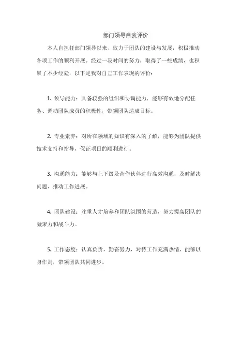 部门领导自我评价