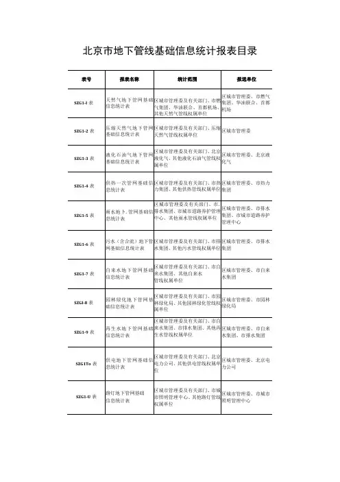 北京市地下管线基础信息统计报表目录