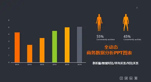 数据可视化图表PPT- (5)