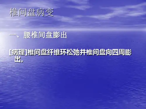骨骼系统课件