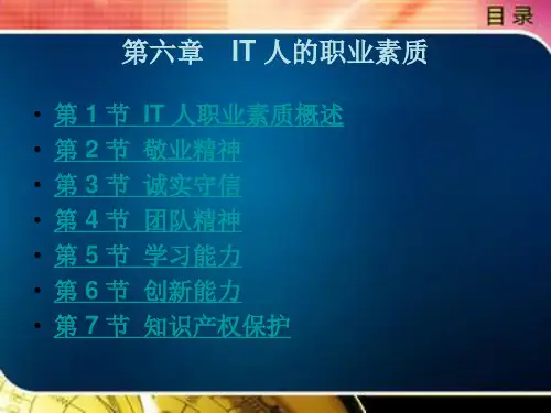 IT 人的职业素质