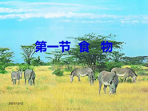 七年级生物下册 营养物质的作用课件 