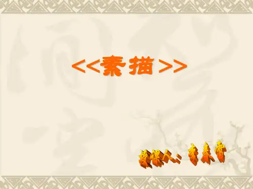 6.素描(七年级美术下册)