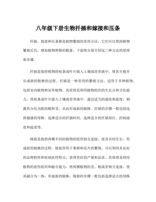 八年级下册生物扦插和嫁接和压条