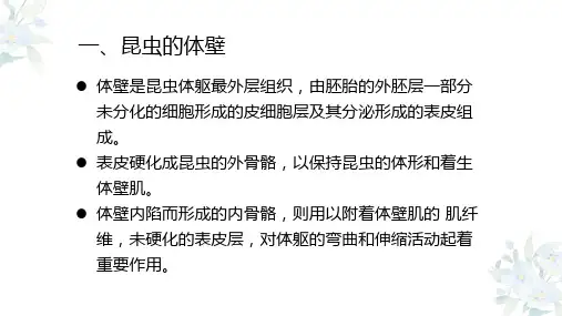 191.2.1昆虫的体壁与体色