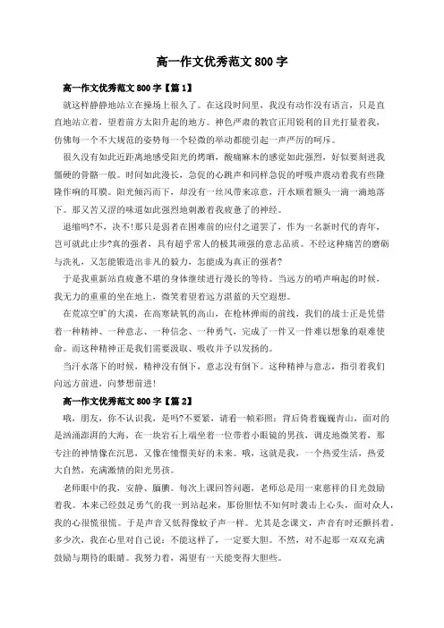 高一作文优秀范文800字