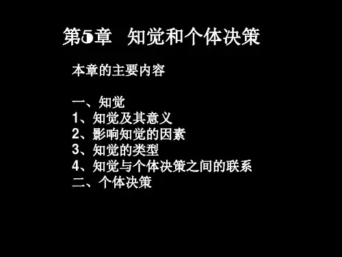 知觉和个体决策