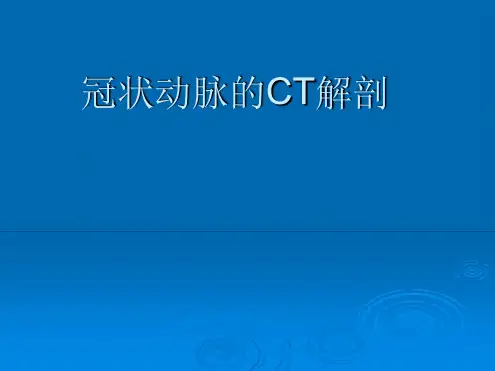 冠状动脉的ct解剖