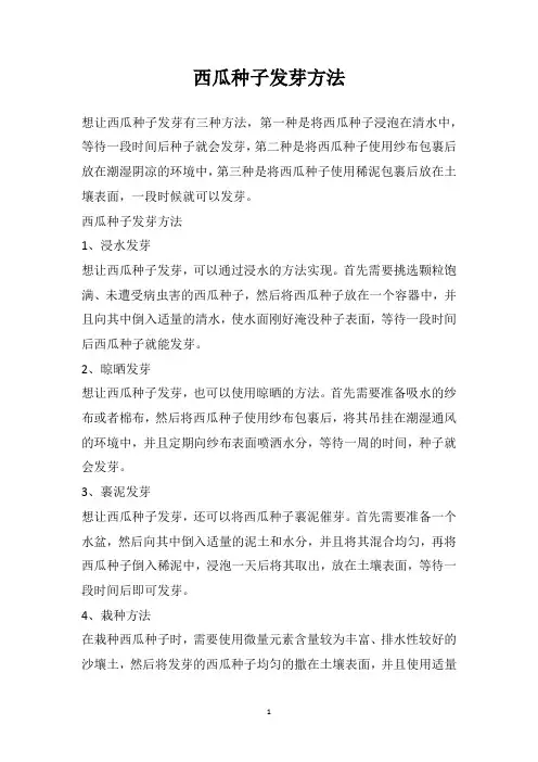 西瓜种子发芽方法