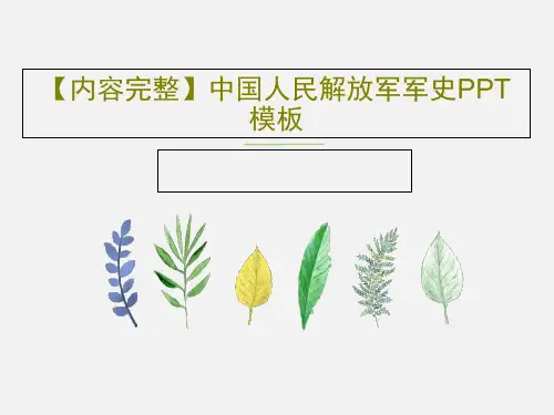 【内容完整】中国人民解放军军史PPT模板共29页文档