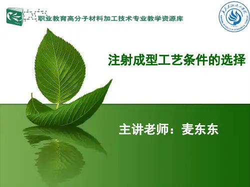 注射成型工艺条件及其选择.
