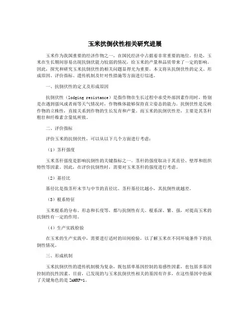 玉米抗倒伏性相关研究进展