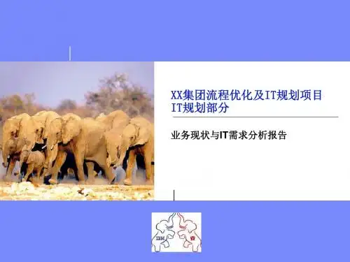 XX公司IT战略规划