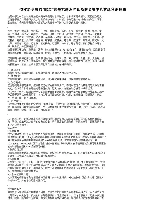 俗称野草莓的“蛇莓”竟是抗癌消肿止咳的名贵中药材赶紧采摘去