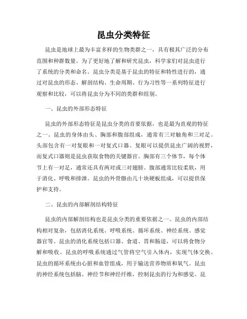 昆虫分类特征