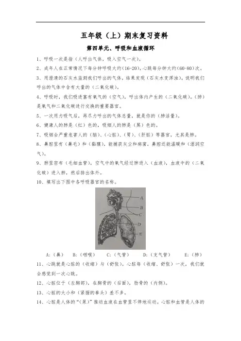 苏教版五年级上册科学第四单元呼吸和血液循环试题含答案