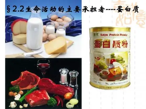 蛋白质4