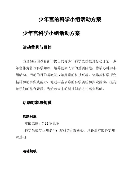 少年宫的科学小组活动方案