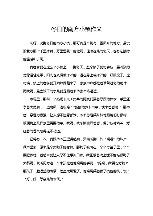 冬日的南方小镇作文