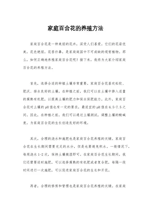 家庭百合花的养殖方法