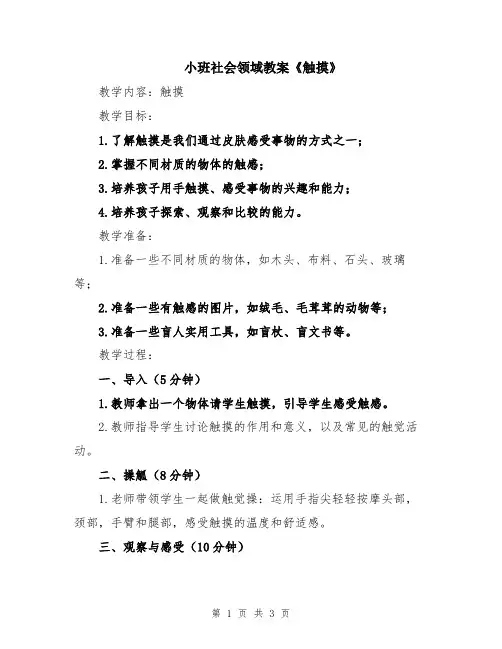 小班社会领域教案《触摸》