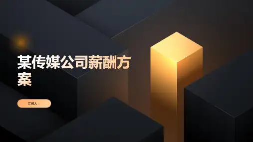 某传媒公司-薪酬方案