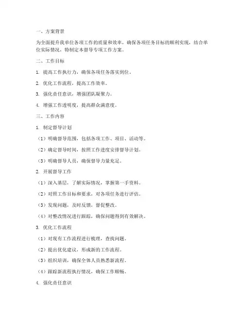 督导专项工作方案