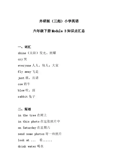 外研版(三起)小学英语六年级下册Module 3知识点汇总