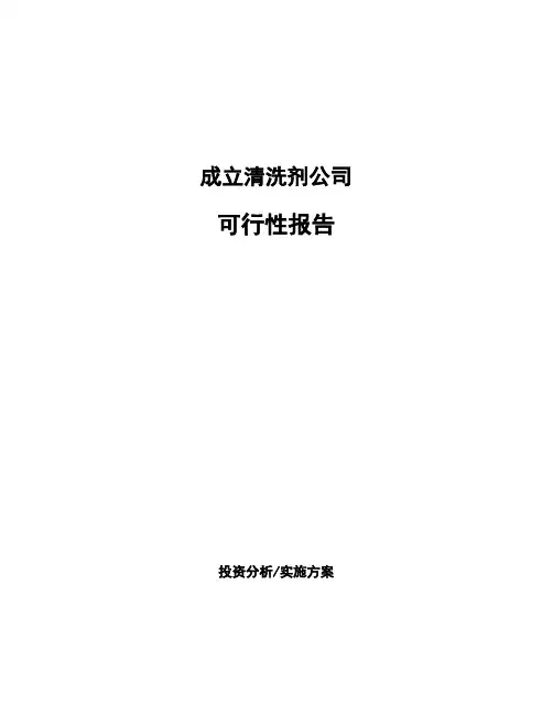 成立清洗剂公司可行性报告