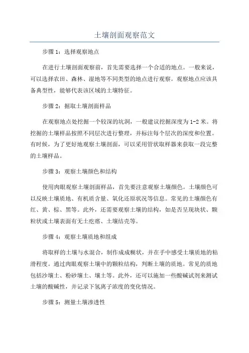 土壤剖面观察范文