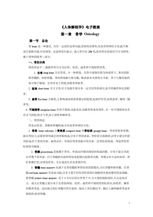 吉林省-《人体解剖学》电子教案——骨学(人卫版)