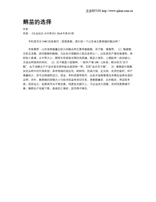 鹅苗的选择