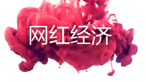 网红经济学