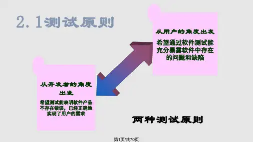 软件测试测试原理PPT课件