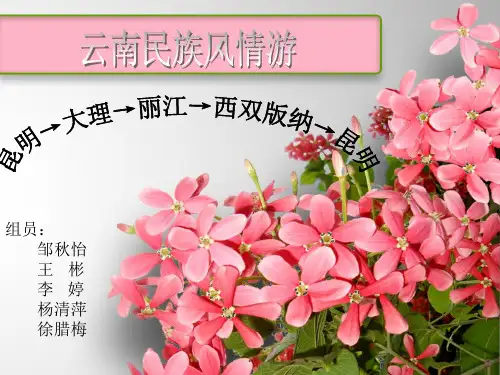 云南民族风情游旅游线路设计.pptx