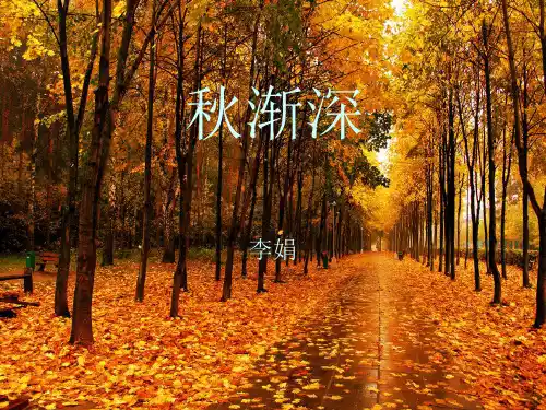 秋渐深