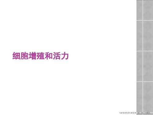 细胞增殖和活力
