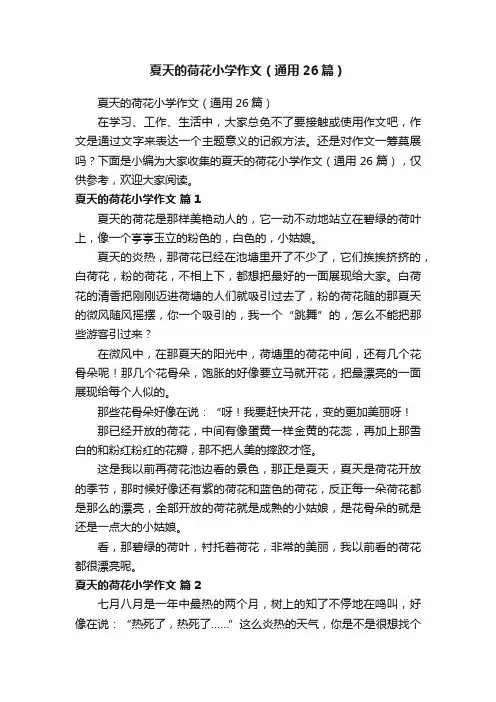 夏天的荷花小学作文（通用26篇）