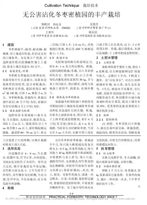 无公害沾化冬枣密植园的丰产栽培_郭树河