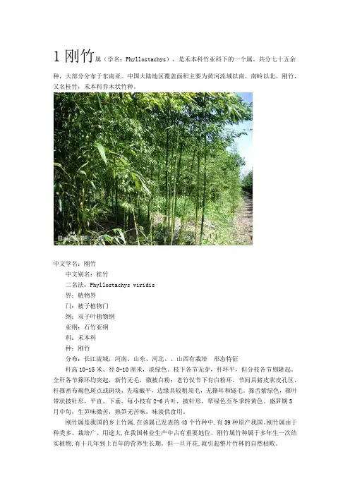 竹子的种类