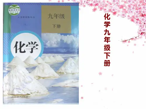 人教版九年级化学下册教材分析10单元