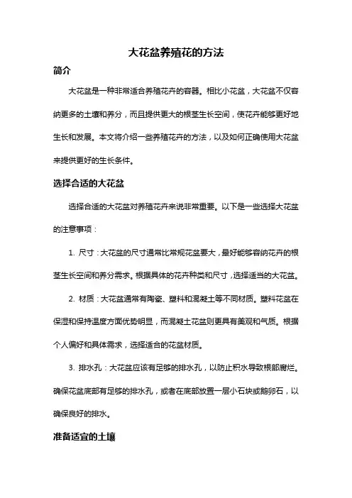 大花盆养殖花的方法