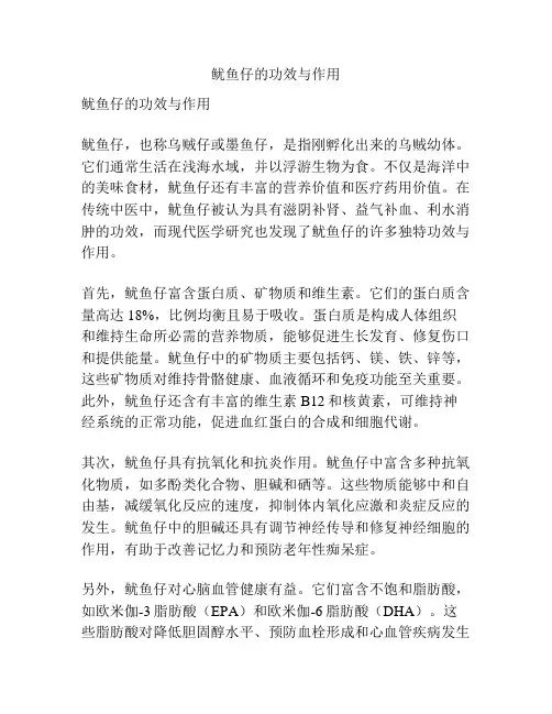 鱿鱼仔的功效与作用