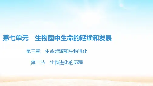 人教版八年级生物下册 第7单元 第3章 第2节 生物进化的历程