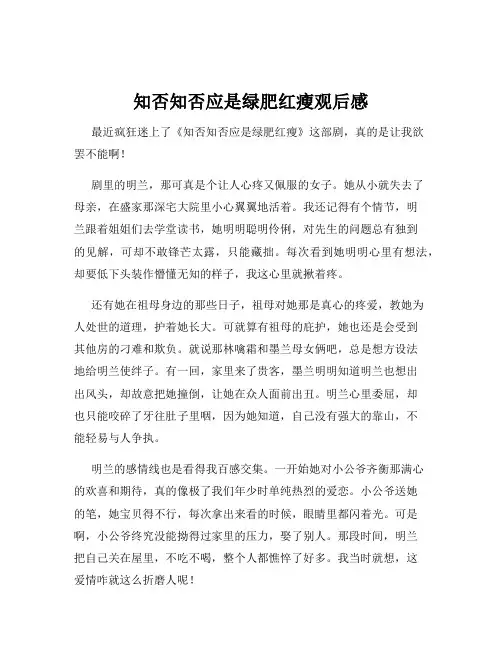 知否知否应是绿肥红瘦观后感