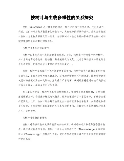 桉树叶与生物多样性的关系探究