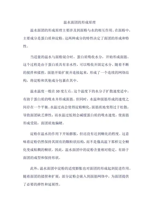 温水面团的形成原理
