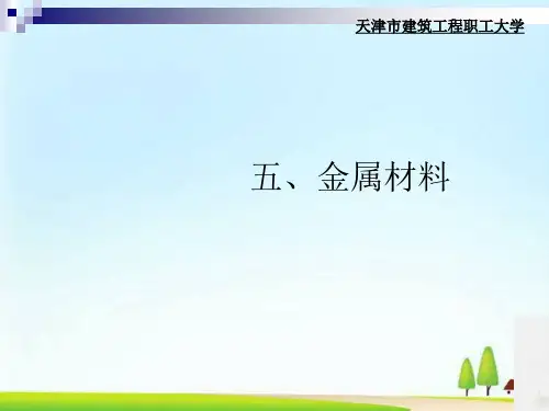 天津某大学金属材料课程(ppt 27页)