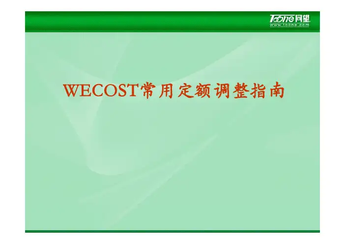 同望WECOST操作——定额调整