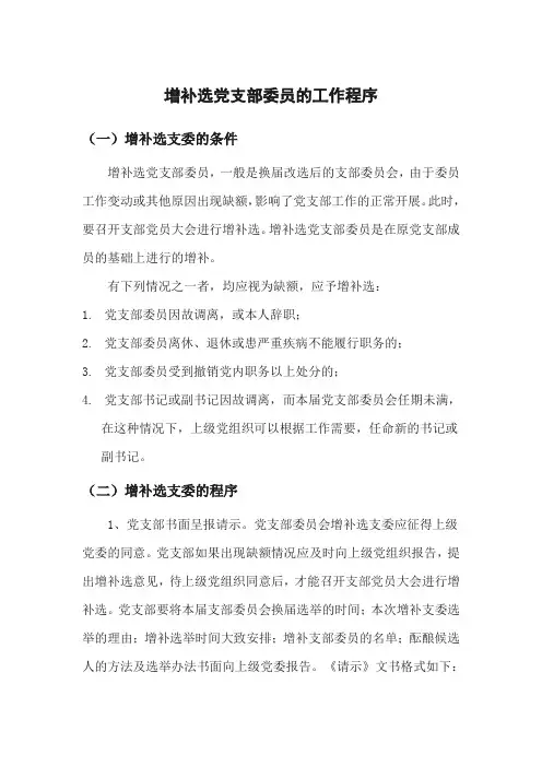 增补选党支部委员的工作程序